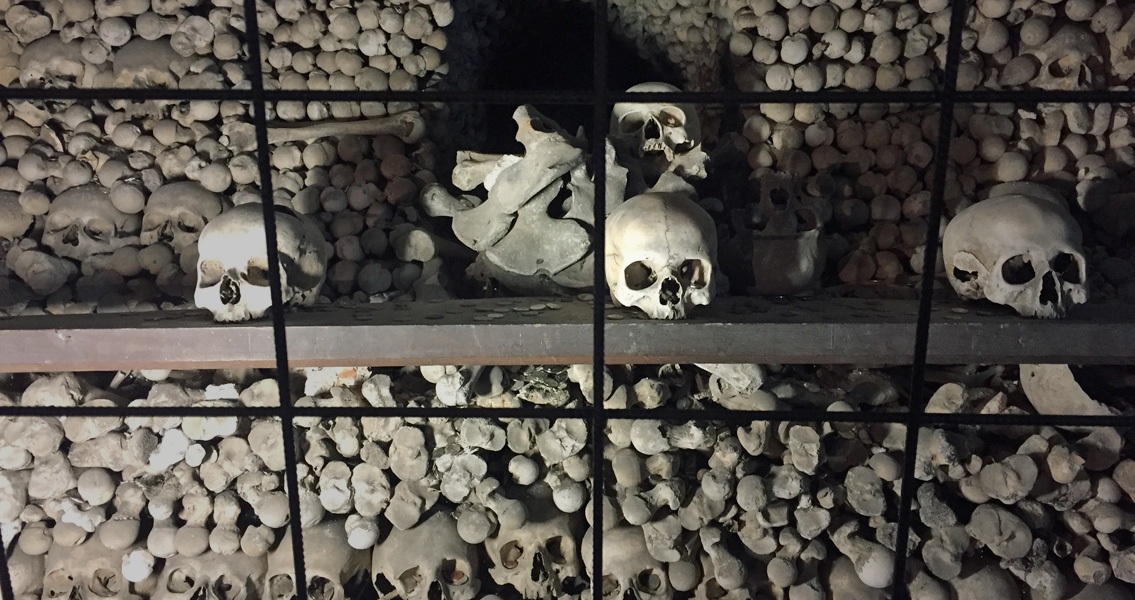 Wilgoć i sole poważnie zniszczyły mury trzech zabytkowych budynków przedstawionych powyżej. Widok na jeden z pali kostnych w ossuarium w Sedlcu.